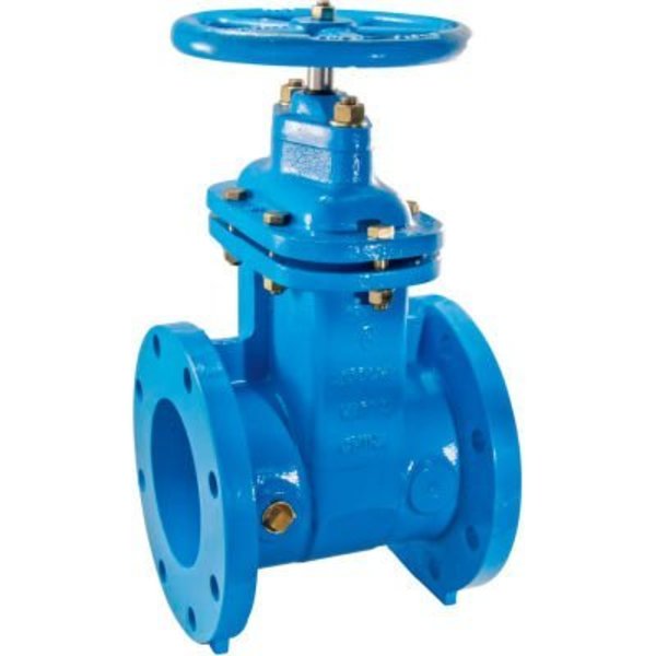 Watts Watts 405-NRS-RW Cast Iron Gate Valve 6 in FLG 0 700106